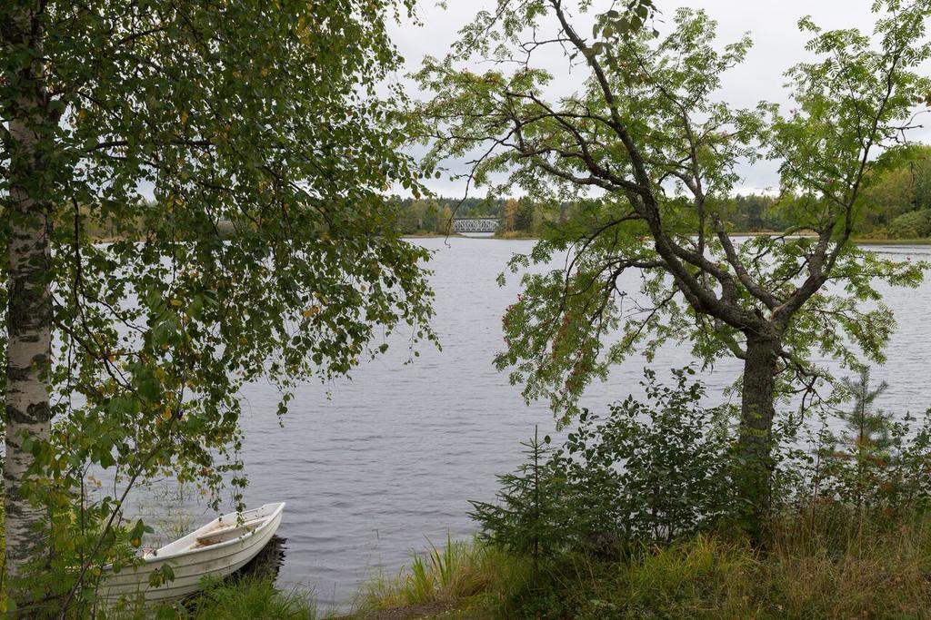 Lemettilae Countryside Accommodation Petäjävesi Buitenkant foto